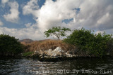 IMG_5338.jpg