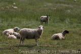 IMG_5645.jpg