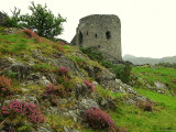 Dolbadarn Castle in heavy rain - 2