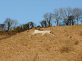 The Broad Town white horse.