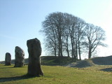 Standing  stones  and  trees  at  Avebury.