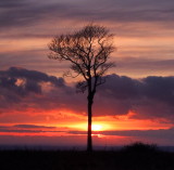 Sunset  silhouette.