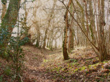 The  depleted  Wansdyke