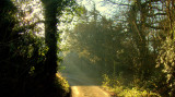 Early sunlight in Church Lane.