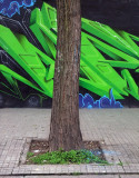 another green world