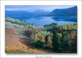 Derwentwater - Autumn Fall colours