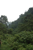 Bwindi 2