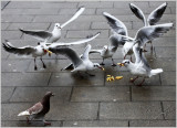 Street Cleaners