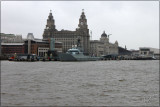 Liver Building