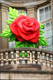 Petal