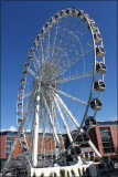 Liverpool Wheel
