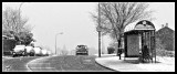 Pozuelo nieve -enero 2009-180.jpg