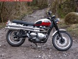 Triumph_Scrambler_900_static 056r.JPG