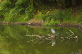 D3-080708-007.jpg