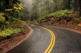 Old McKenzie Highway 242