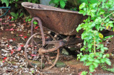 D5000-032510_104.jpg
