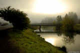 Bridging the fog
