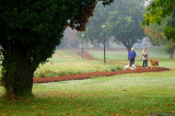 D2x2007-10-23_092x.jpg