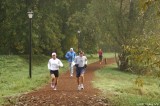 D2x2007-10-23_174x.jpg