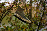 D2x2007-10-23_196.jpg