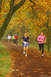 D2x2007-10-23_243.jpg