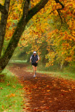 D2x2007-10-23_255x.jpg