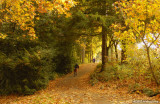 D50-2007-10-30_073.jpg