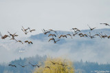 D2x2008-03-21_021