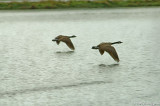 D2x2008-03-21_026