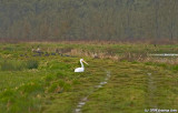 D2x2008-03-21_047