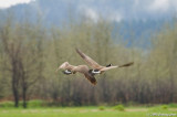 D2x2008-03-21_117