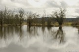 D50-2008-03-21_011