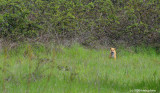D3_042508_534.jpg