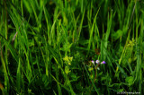 D3_042508_209
