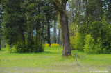 D3_042508_596