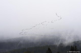 D3-042108-083.jpg