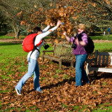 Leaf me alone!