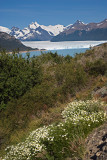 08-01 Perito Moreno Glacier 02.JPG