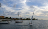 Harbor Sail