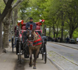 Manhattan Handsome Ride