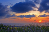sIMG_3688_haifa_sunset.jpg