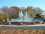 circle during daylight w fountains.jpg