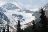 Icefields Parkway,Jasper NP,Alberta