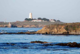 Piedras Blancas..central California coast