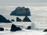 Foggy Sonoma Coast