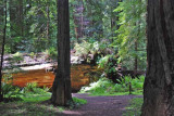 Northern California - Oregon Coast