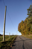 Route en automne