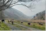 Glenveagh National Park