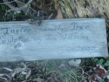 Picture 216 (Small).jpg