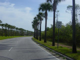 DSC01425 (Small).JPG